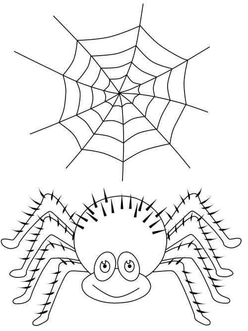 kostenlose malvorlage halloween spinne und spinnennetz
